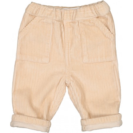 PANTALON ADVENTURE VELOURS COTELÉ