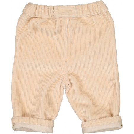 PANTALON ADVENTURE VELOURS COTELÉ