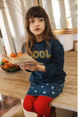 Skirt Teacher Denim Heart