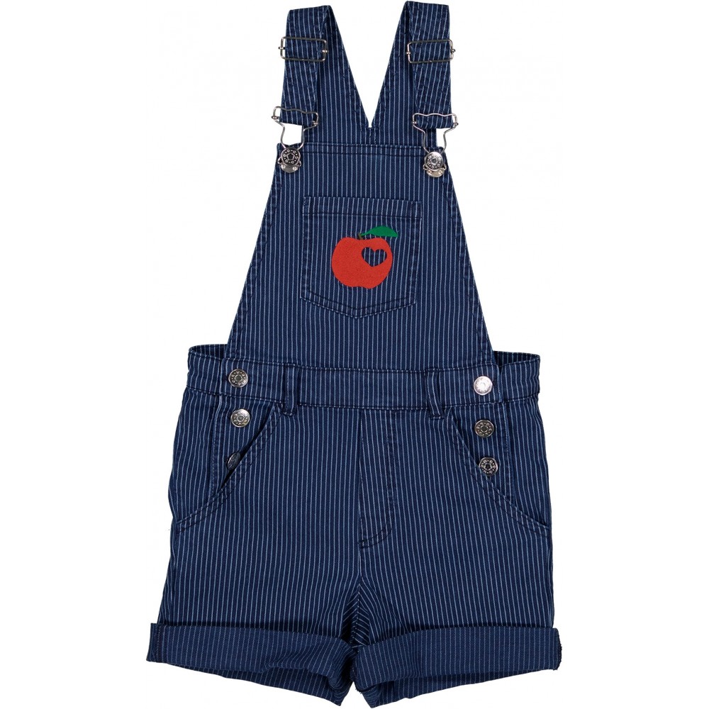 COMBINAISON JARDIN DENIM RAYÉ